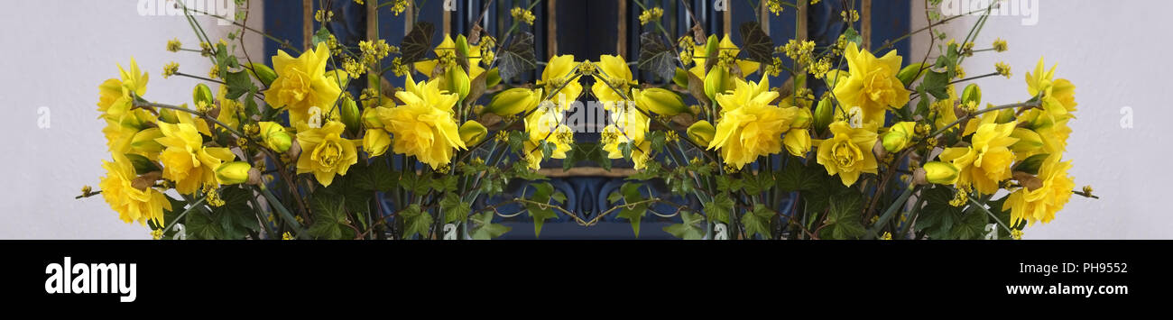 Les jonquilles dans un arrangement floral Banque D'Images