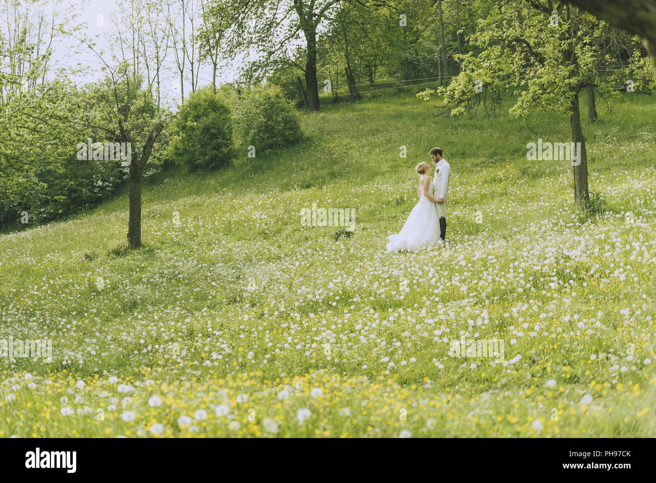 Jardin paysage Mariage Banque D'Images