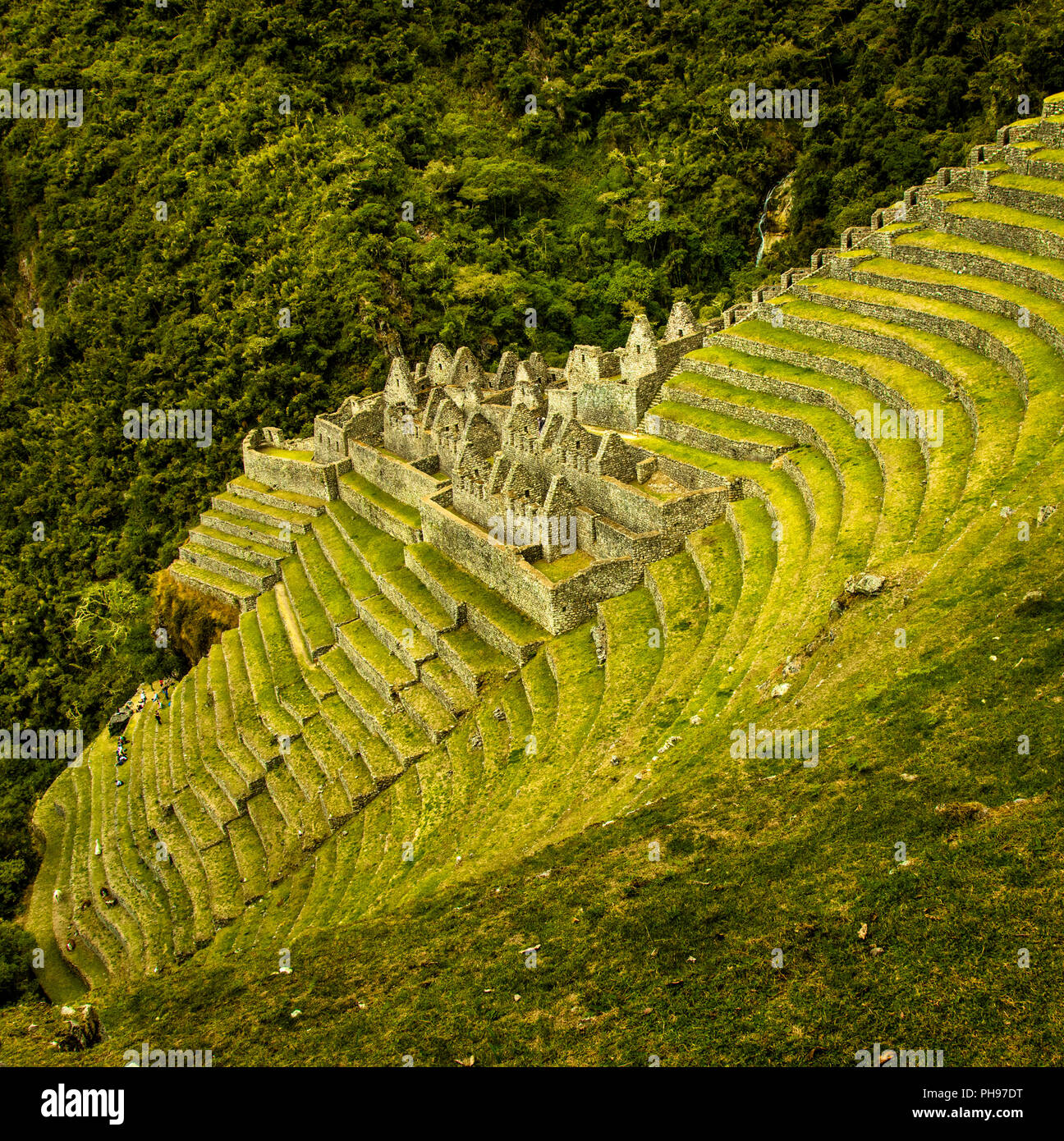 Les ruines Incas de Winay Wayna, y compris les terrasses agricoles et de ses microclimats,, le long du chemin de l'Inca à Machu Picchu. Vallée Sacrée, Pérou Banque D'Images