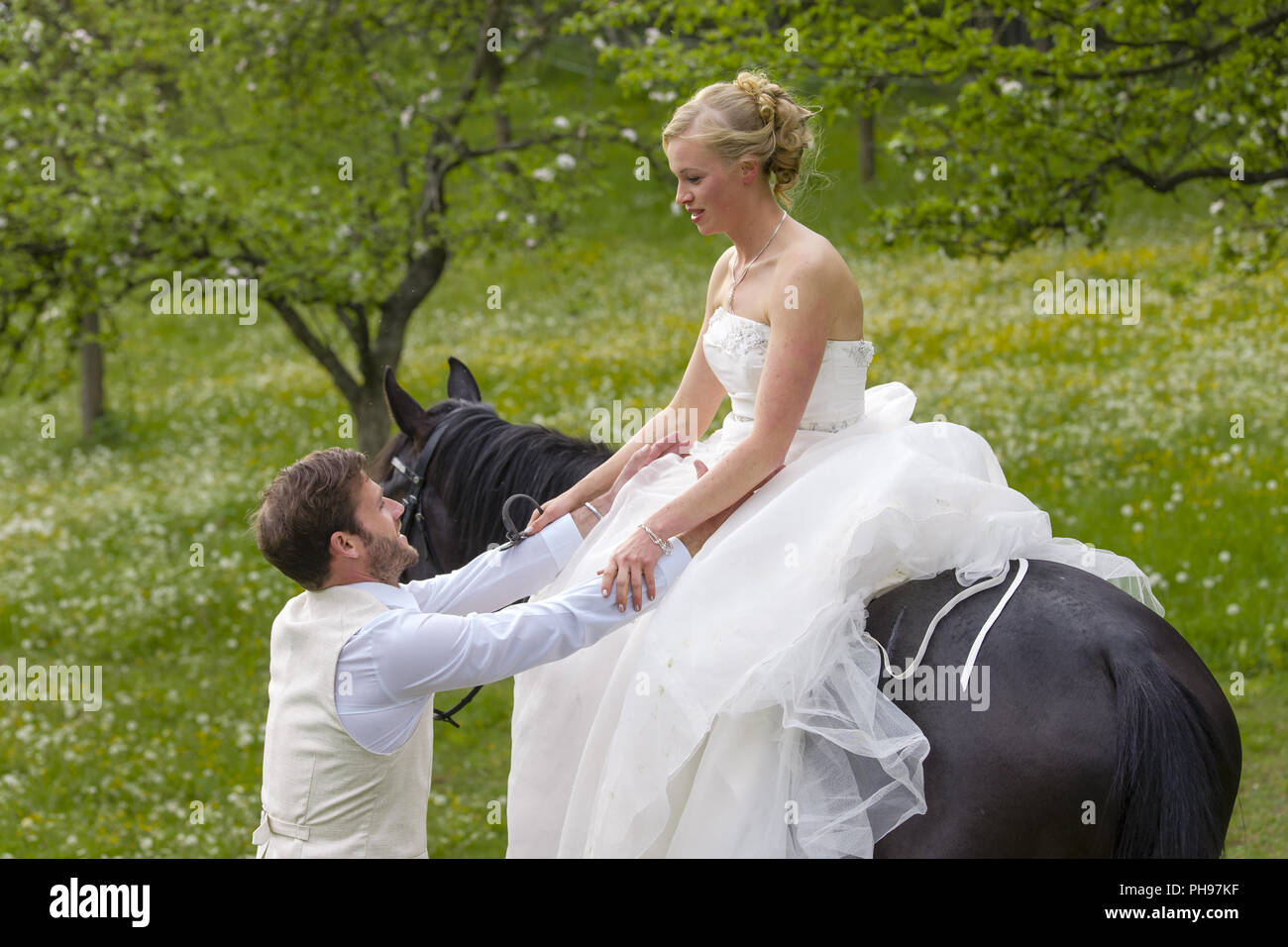 Mariée à cheval Banque D'Images