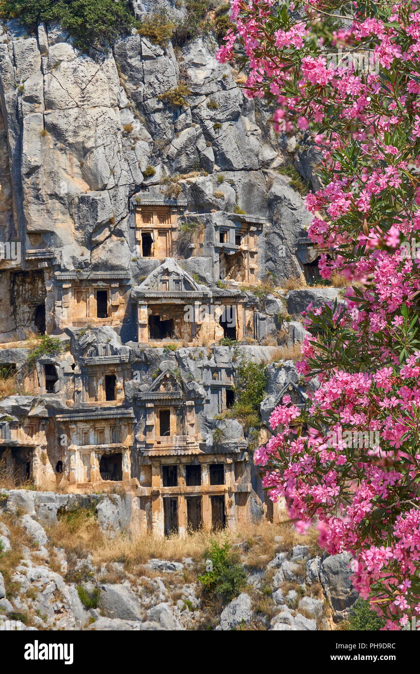 Des tombes Lyciennes antique et la floraison des lauriers-roses flowes, Myra (Demre), Turquie Banque D'Images