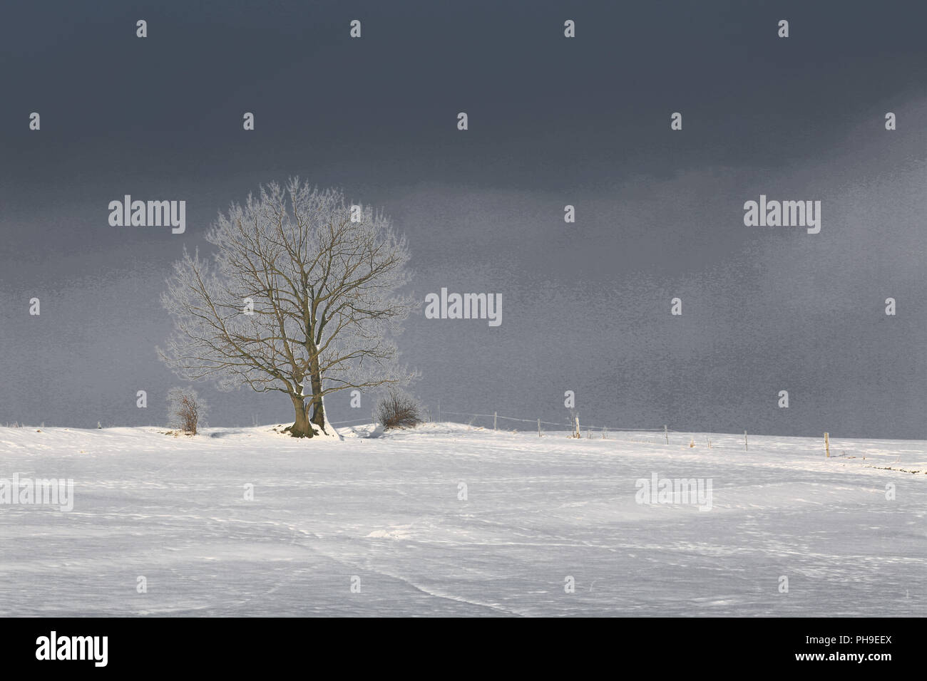 Paysage d'hiver au clair de lune Banque D'Images