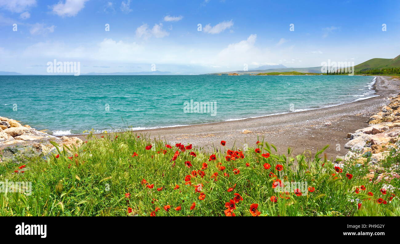 Le sel du lac de Van, Turquie Banque D'Images