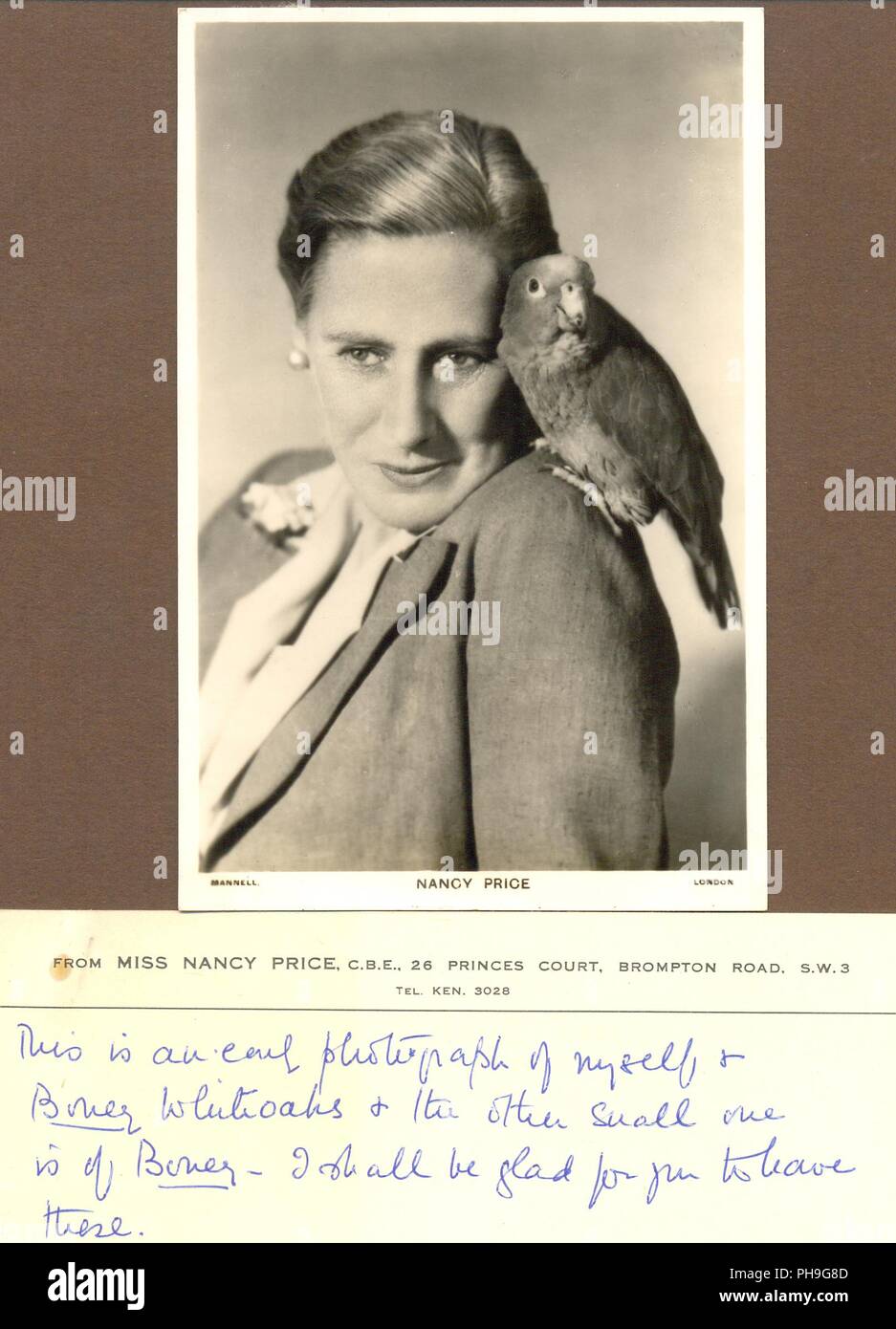 Carte postale Portrait de Nancy : CBE et son perroquet Boney Whiteoaks Banque D'Images