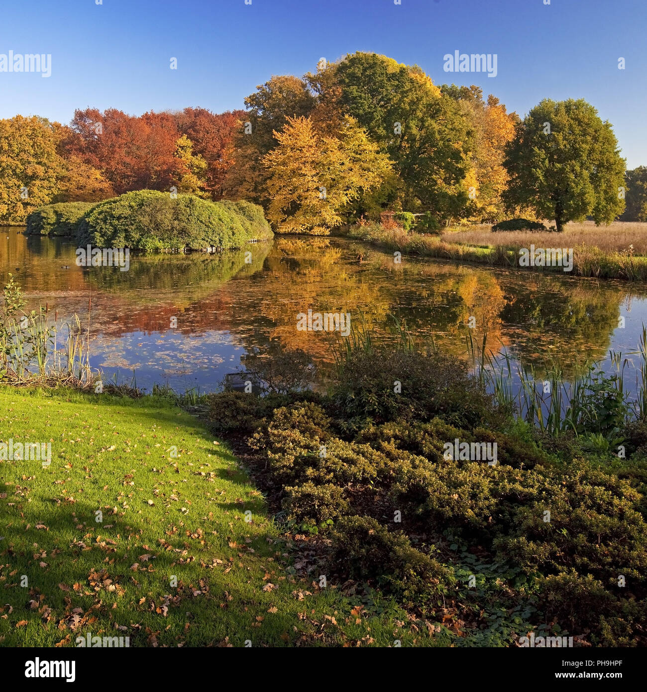 Parc du château de Burg, château d'Anholt, Isselburg, Münster, Rhénanie du Nord-Westphalie, Allemagne Banque D'Images