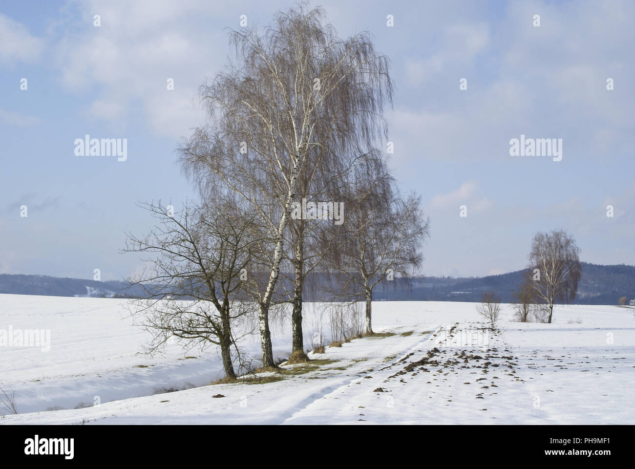 Paysage d'hiver à proximité Bibersfeld, Bade-Wurtemberg, Allemagne Banque D'Images