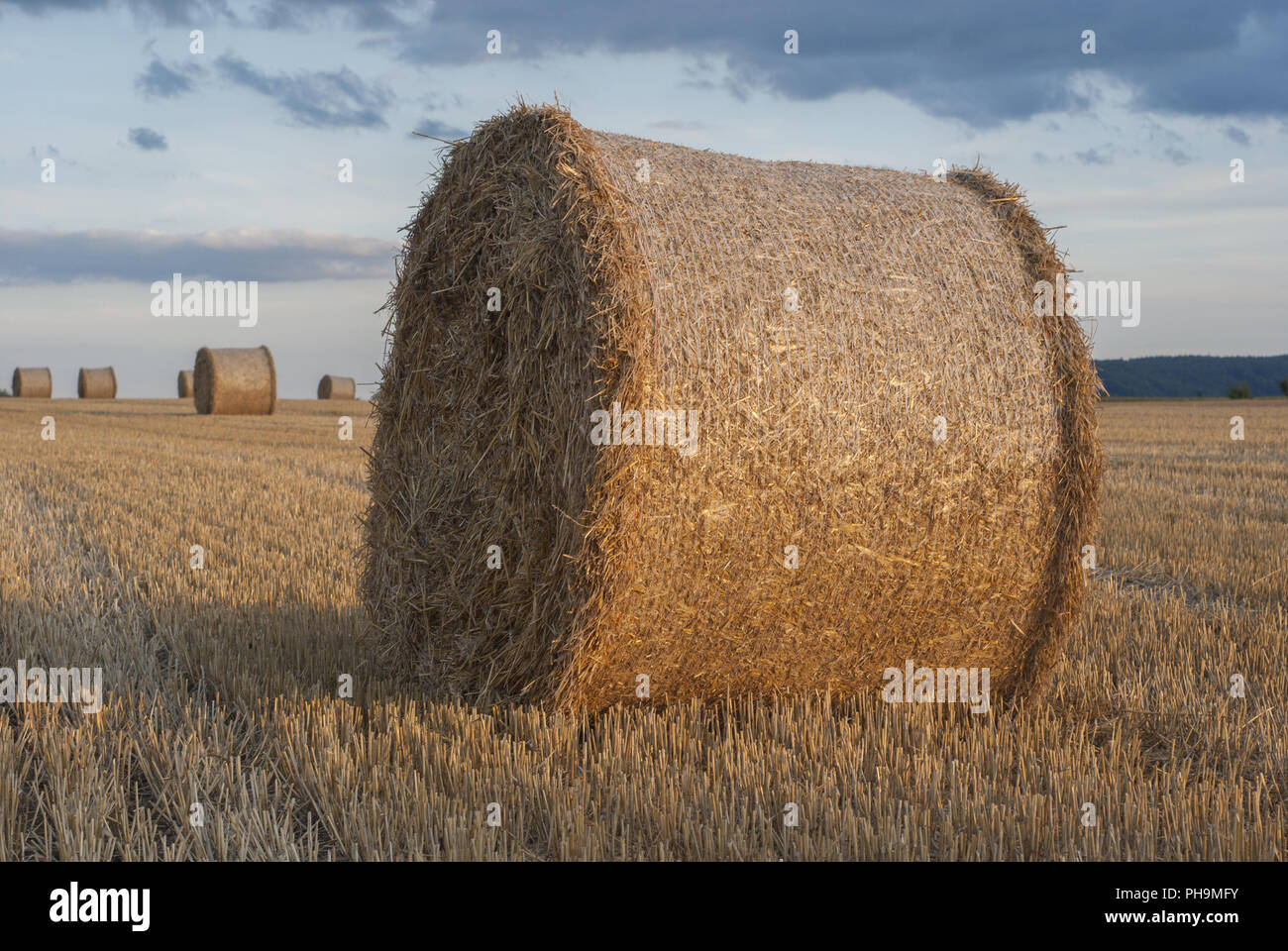 Botte de paille, Bibersfeld, Bade-Wurtemberg, Allemagne Banque D'Images