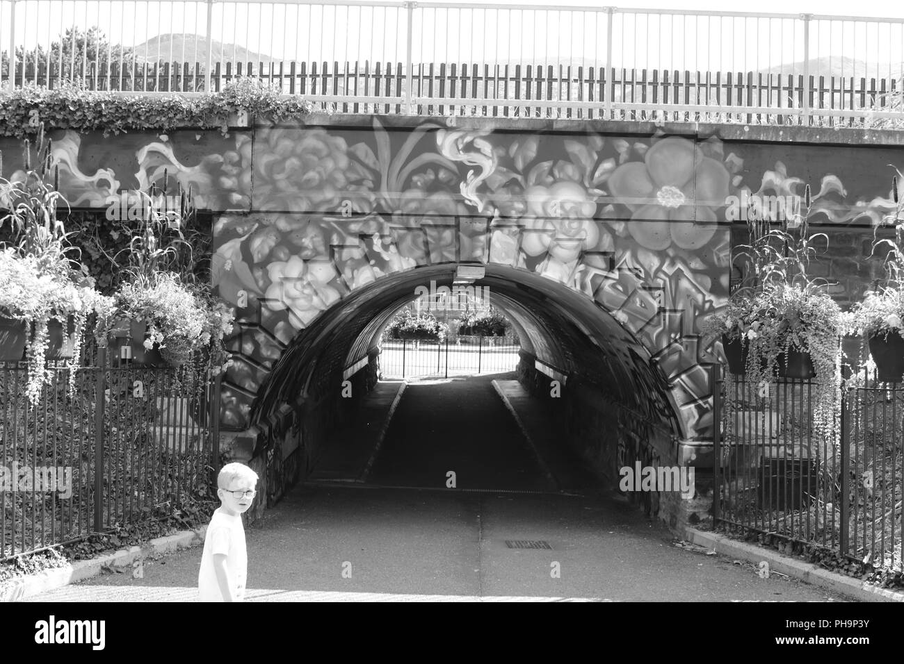 Penmaenmawr, Conwy, Pays de Galles, Royaume-Uni Banque D'Images