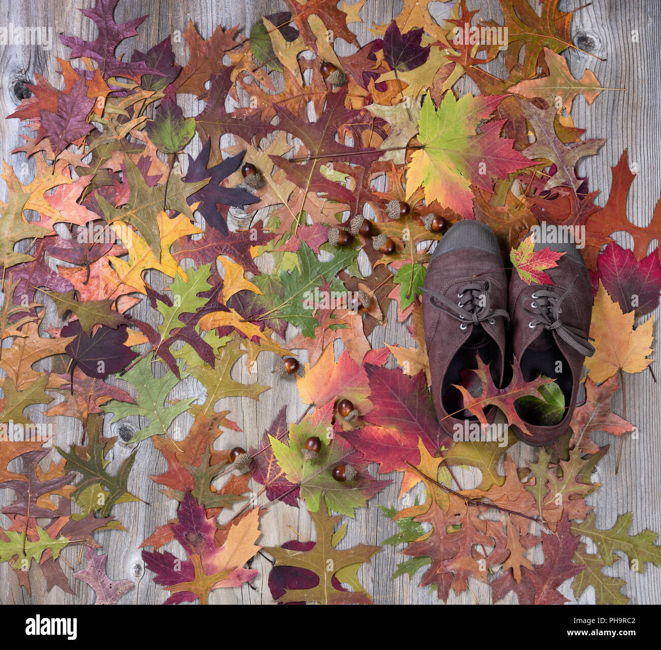 Des chaussures confortables avec des feuilles d'automne sur les planches de bois rustique Banque D'Images