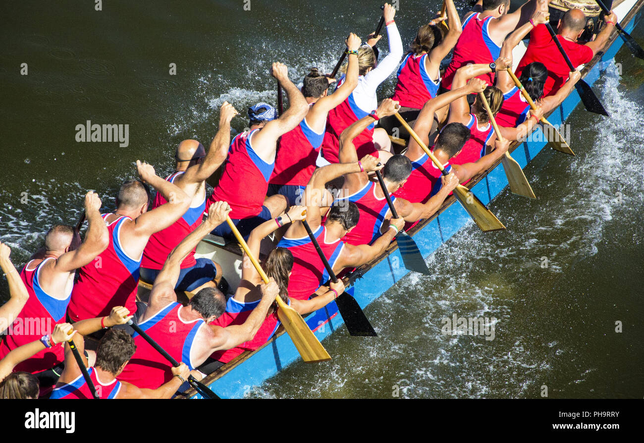 Équipe dans un effort pendant une course de canoës Banque D'Images