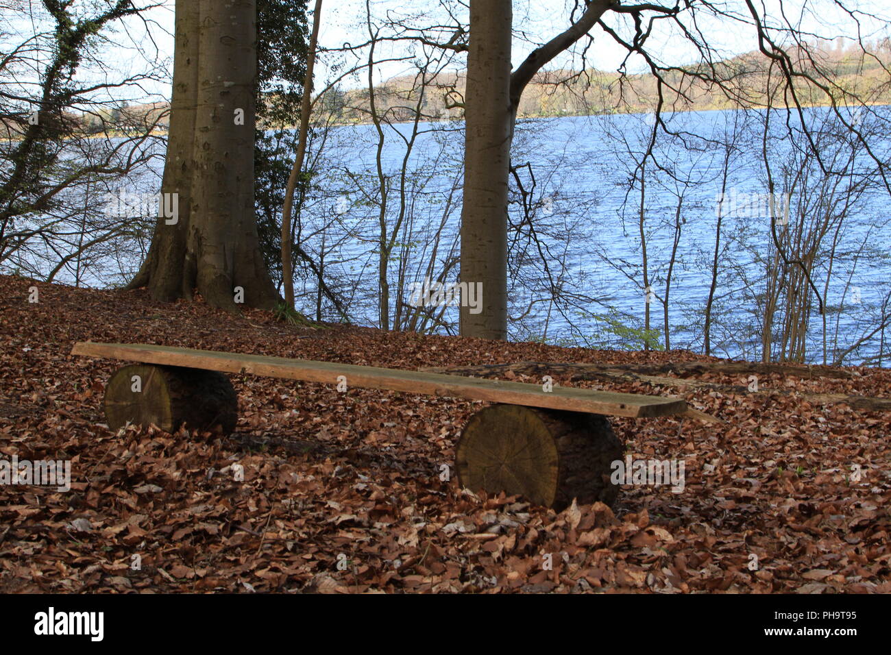 Banc en forêt à Dieksee Banque D'Images