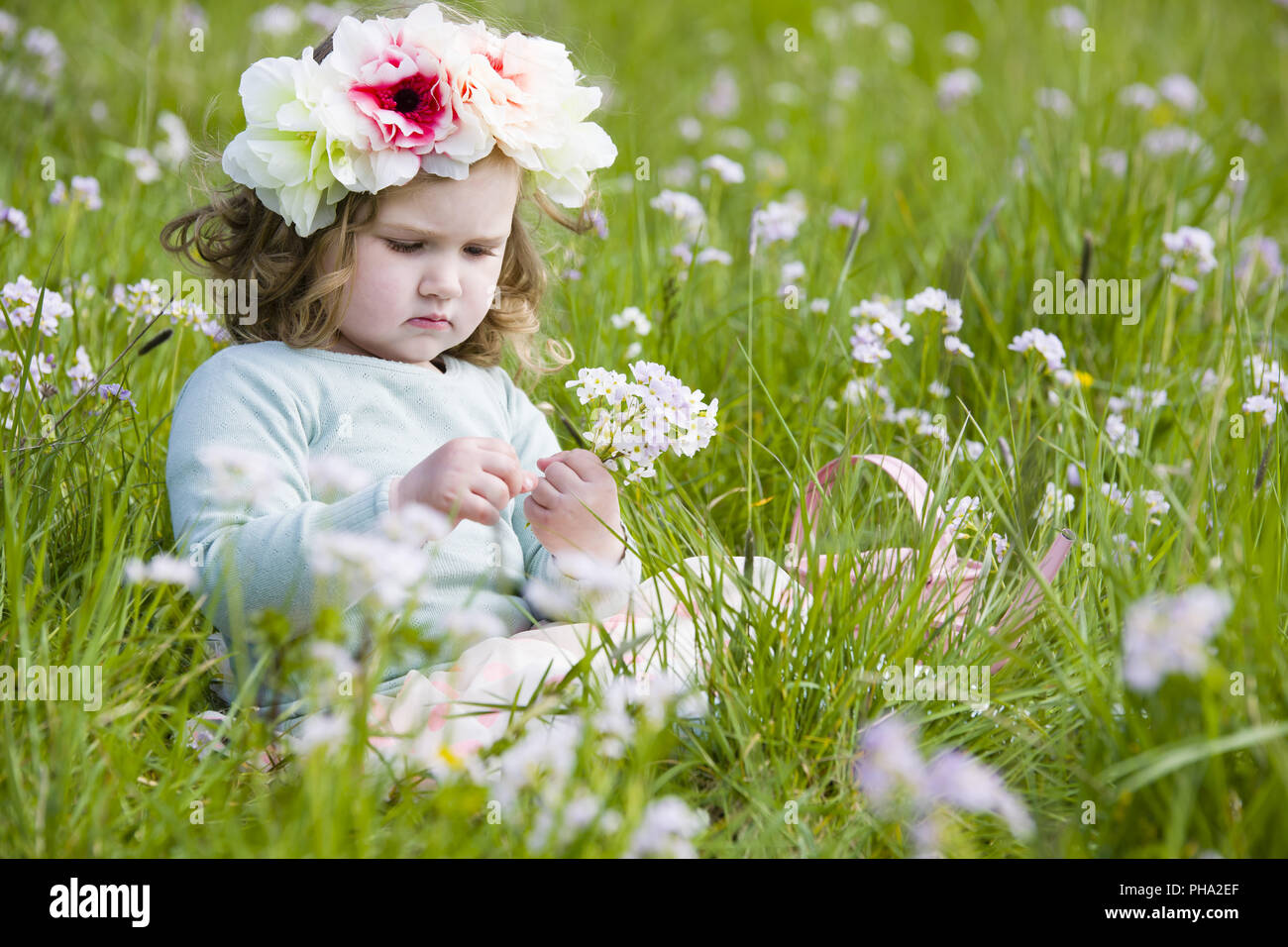 Cueillait des fleurs Banque D'Images