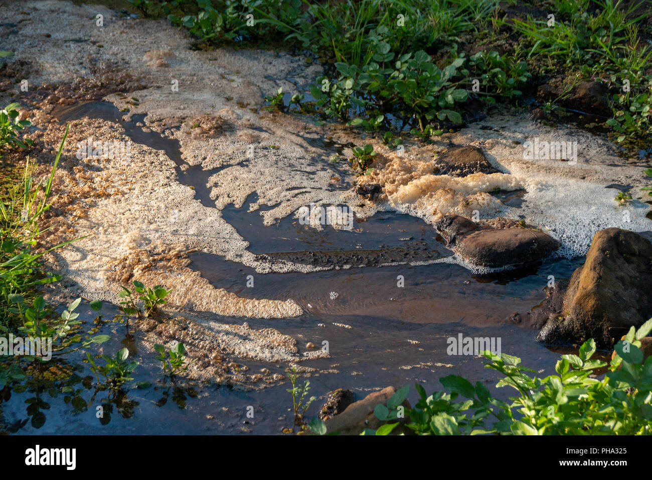 Une vue de face de l'écume de mousse flottant sur le haut de l'eau dans une rivière qui coule Banque D'Images