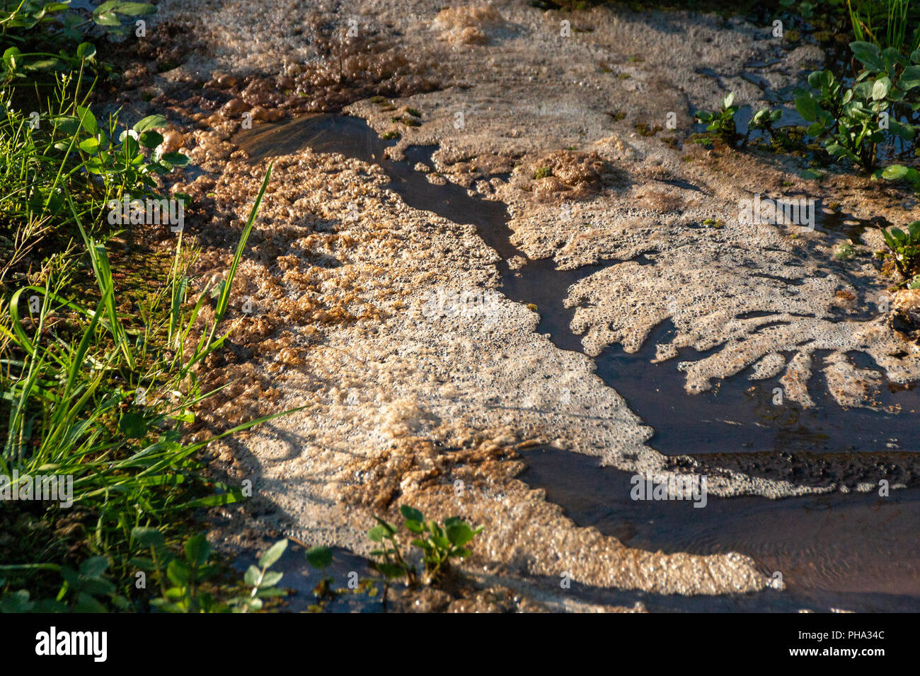 La vue latérale d'écume de mousse flottant sur le dessus de l'eau au fond d'une rivière qui coule Banque D'Images