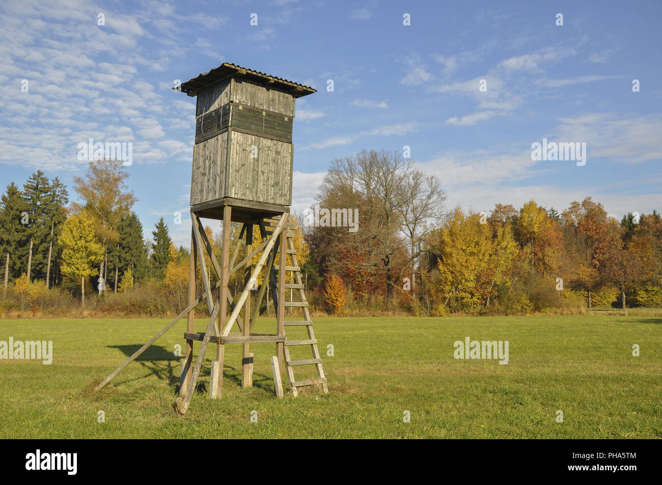 Position dans la forêt de Franconie-souabe, Allemagne Banque D'Images