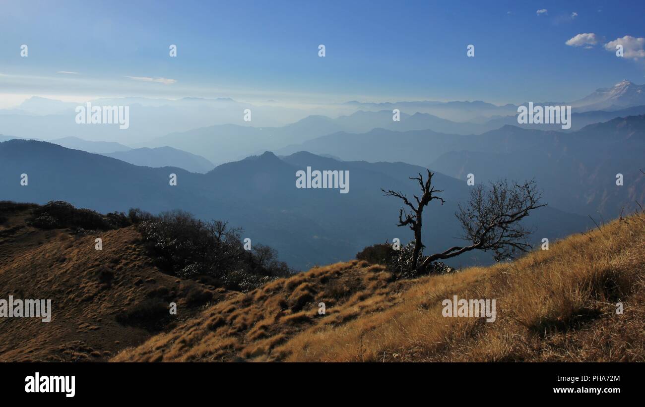 Scène sur Muldhai Hill, de l'Annapurna Conservation Area, Népal Banque D'Images