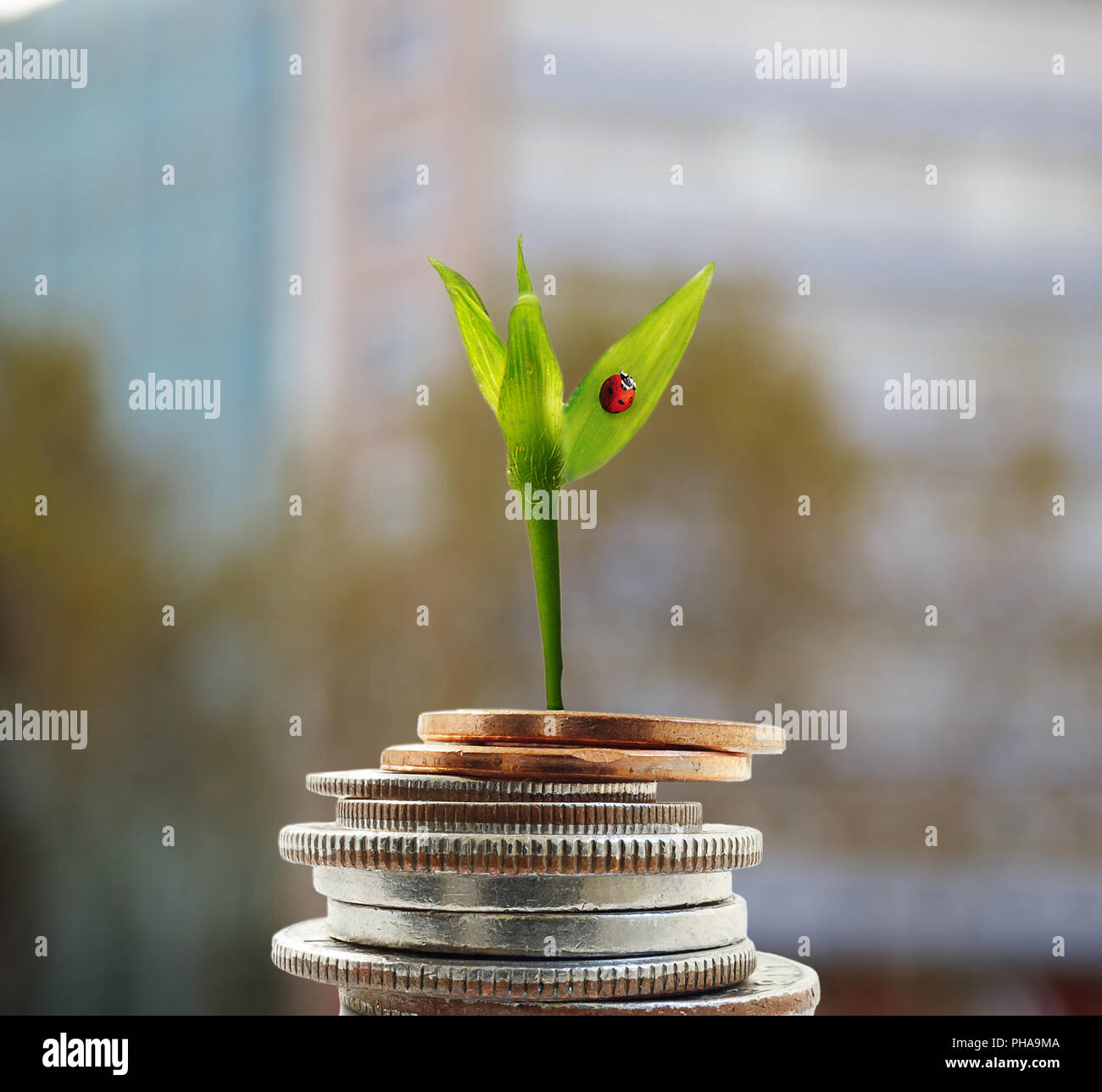 La nouvelle croissance money concept Banque D'Images