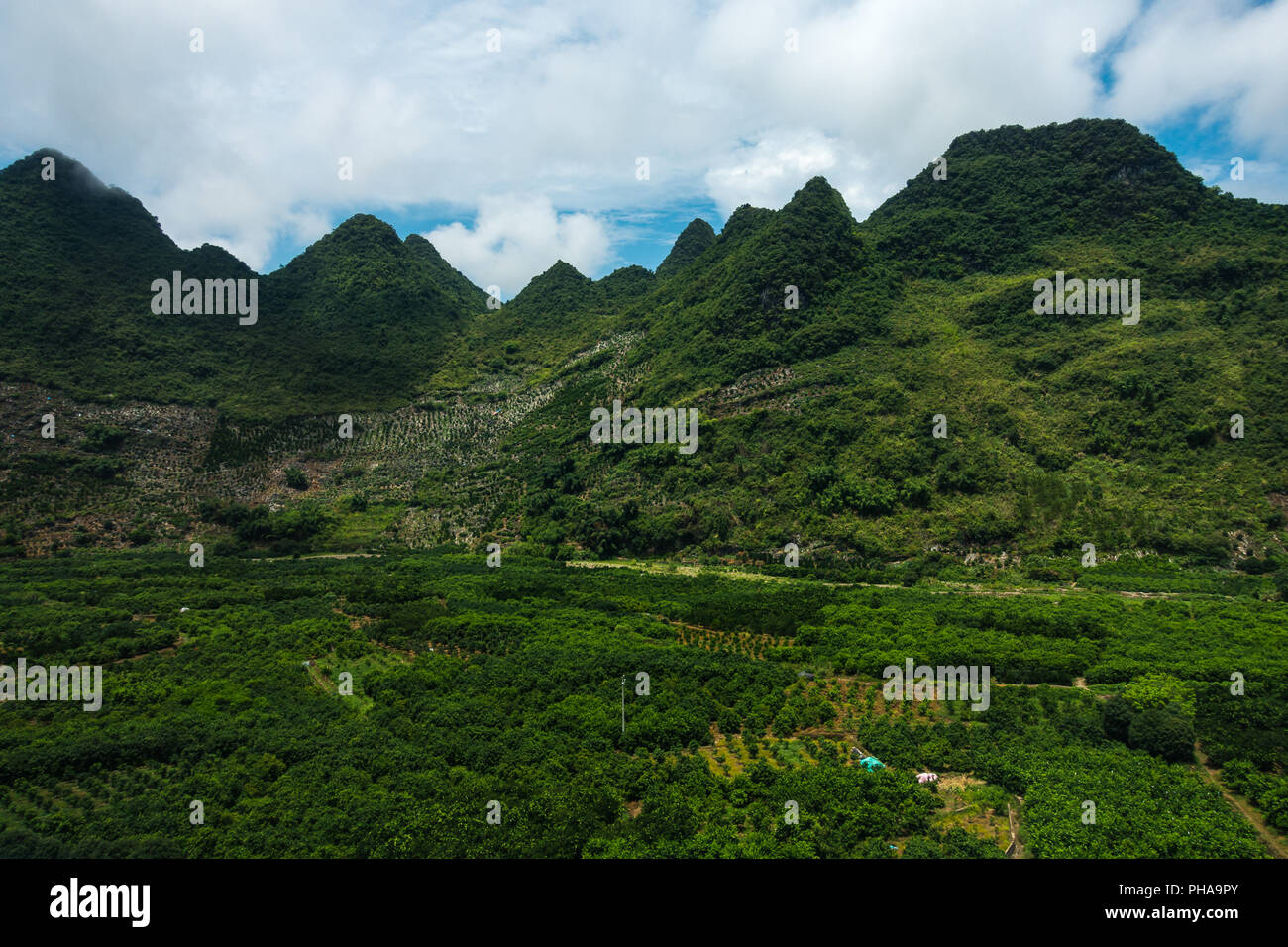 Guilin, Chine Mountaneous la verdure du paysage magnifique en plein air Banque D'Images Guilin, Chine Mountaneous la verdure du paysage magnifique en plein air Banque D'Images