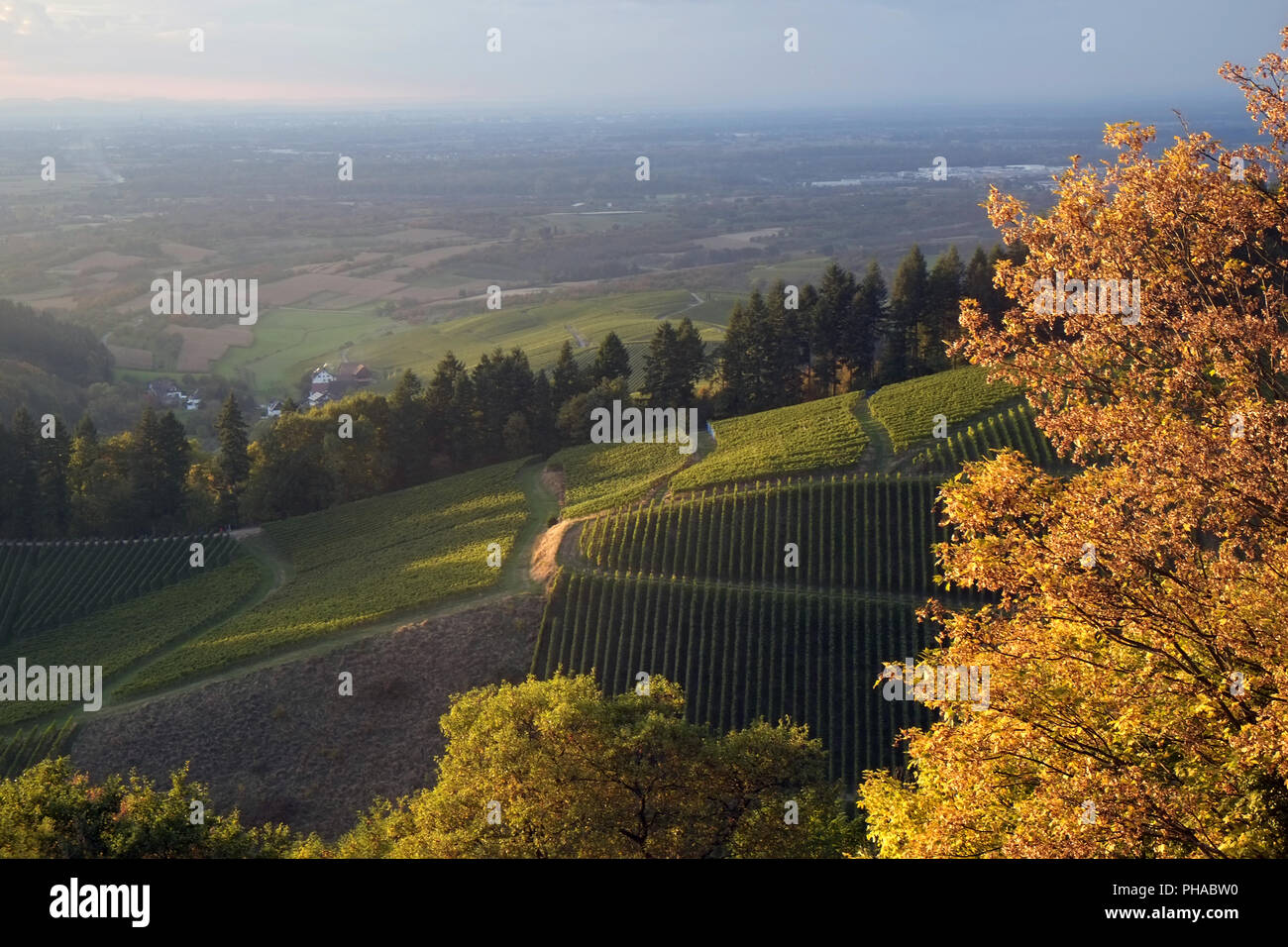 La plaine du Rhin supérieur, Allemagne Banque D'Images