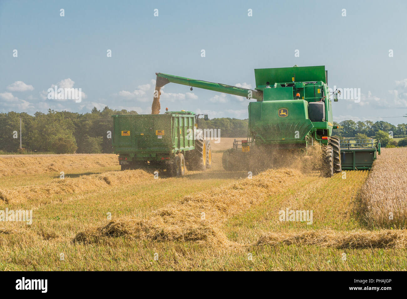 Un John Deere moissonneuse-batteuse Hillmaster au travail l'exercice de l'orge de printemps récoltée dans une remorque Banque D'Images