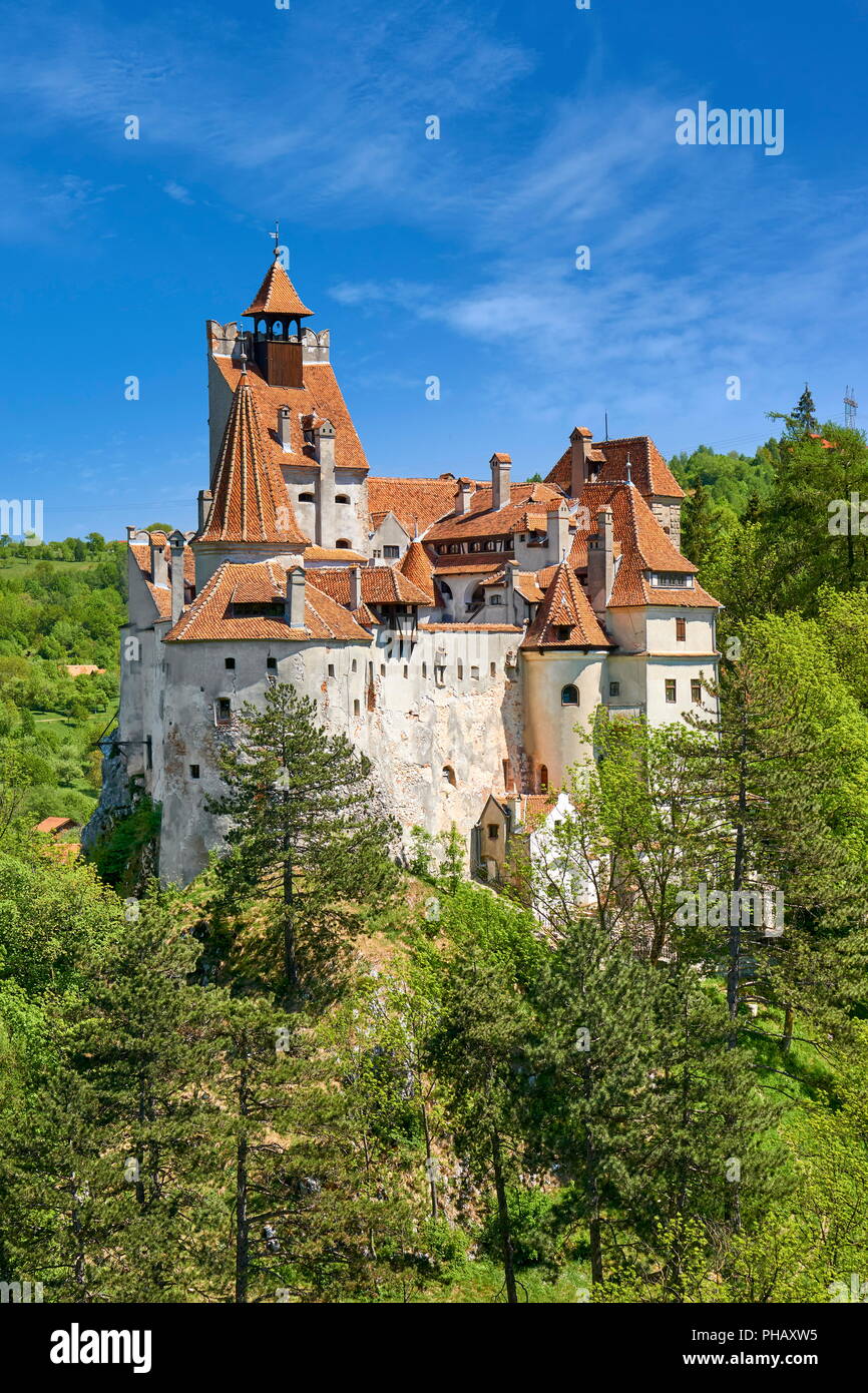 Château de Dracula, son, Transylvanie, Roumanie Banque D'Images