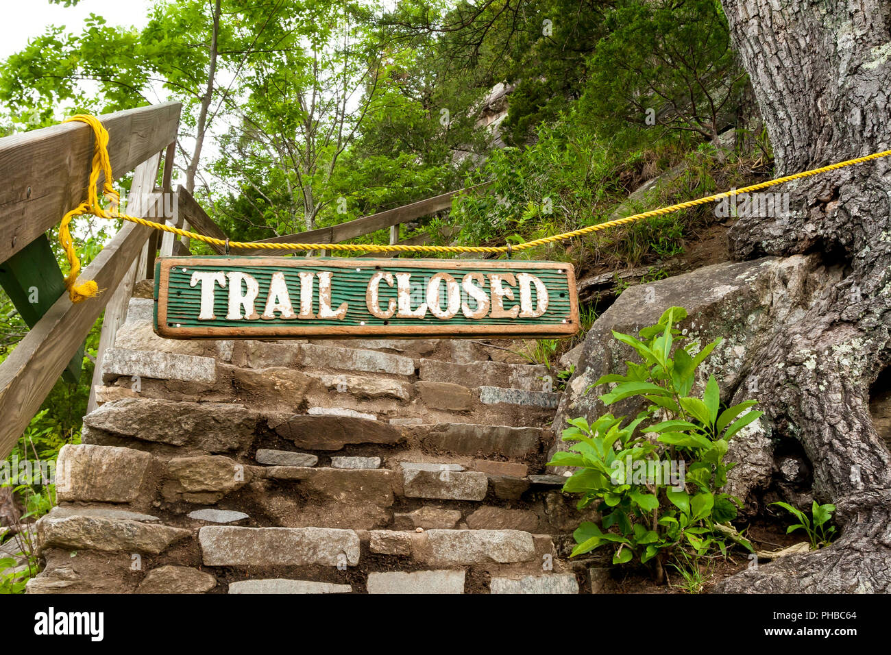 Un sentier de randonnée à Chimney Rock State Park, North Carolina Banque D'Images