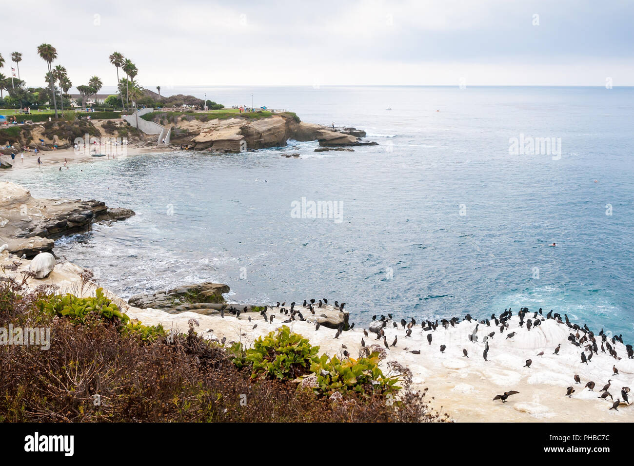 La Jolla Cove, sur la côte sud de la Californie Banque D'Images