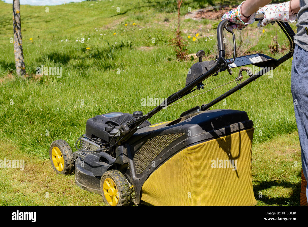 En utilisant une tondeuse dans le jardin tondre l'herbe Banque D'Images