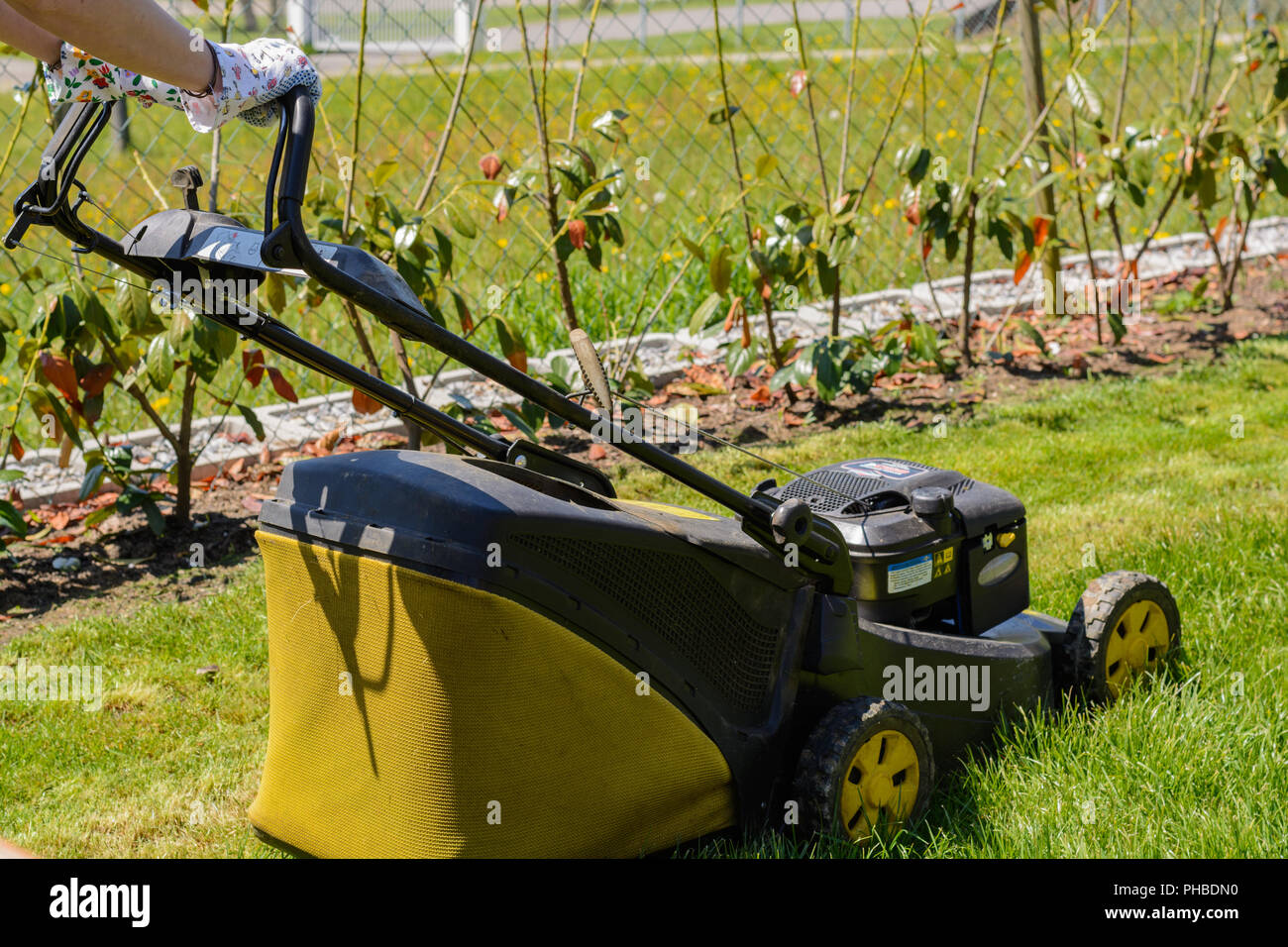 En utilisant une tondeuse dans le jardin tondre l'herbe Banque D'Images