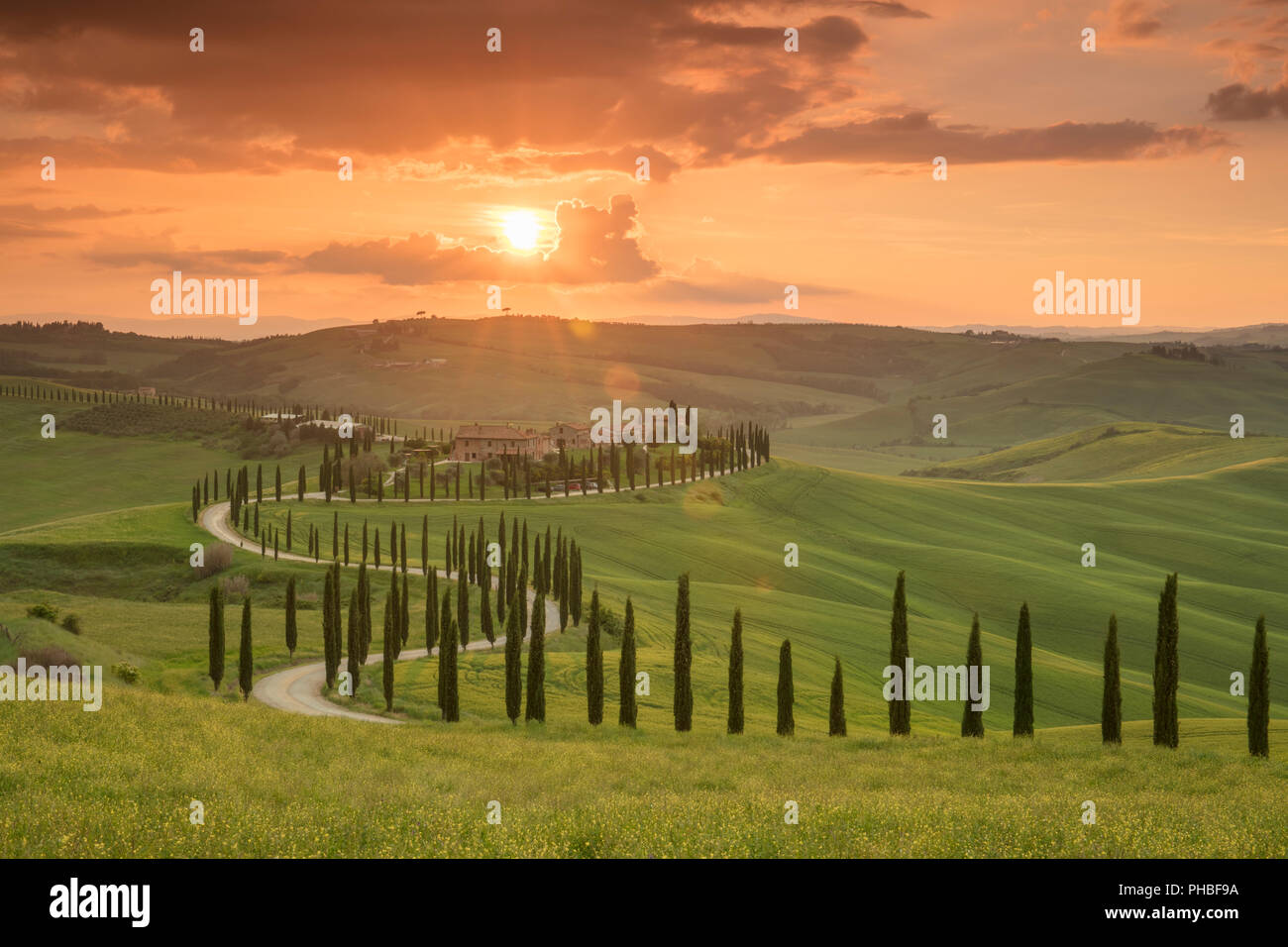 Coucher de soleil sur l'Agriturismo Baccoleno et sentier sinueux avec des cyprès, Asciano en Toscane, Italie, Europe Banque D'Images