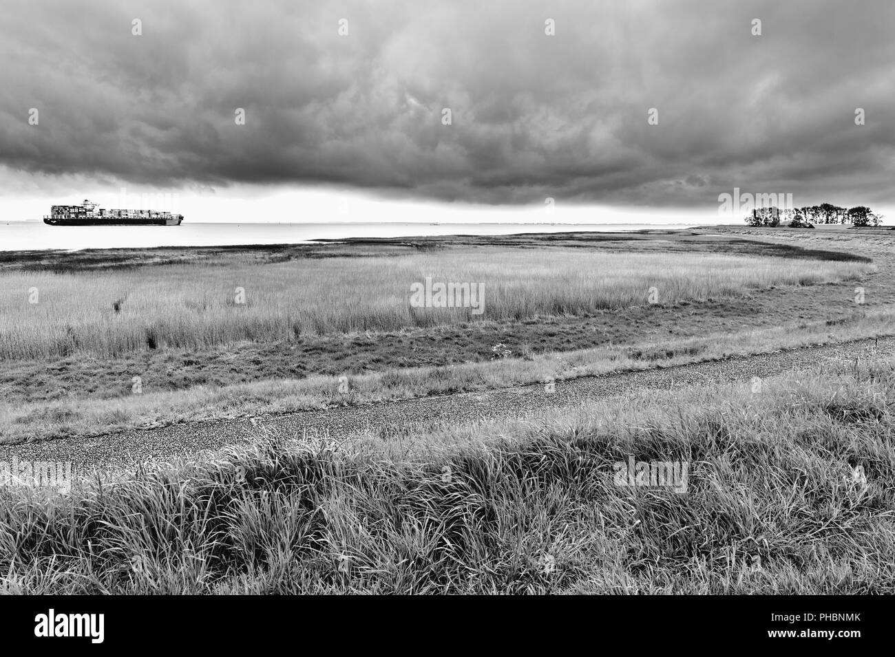Porte-conteneurs en mer du Nord. Banque D'Images