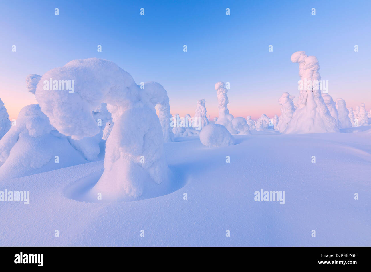 Les formes des arbres gelés, le Parc National de Riisitunturi, Alpes, France, Europe, Banque D'Images