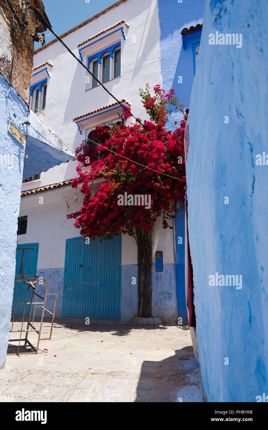 Chefchaouen Banque D'Images