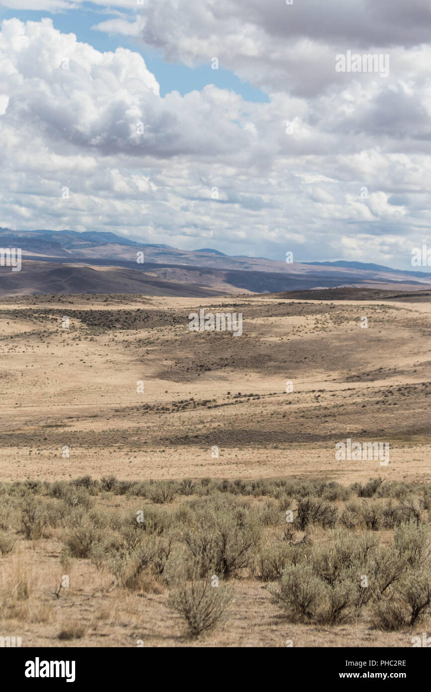 Fluffy clouds passent sur les collines de l'Owyhee Canyonlands. Banque D'Images