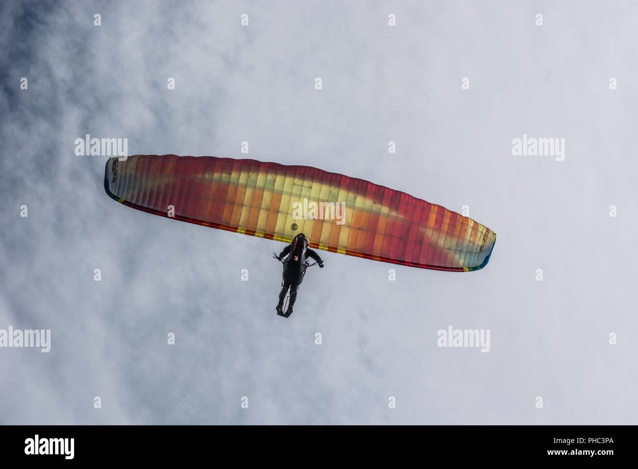 Parapentiste vole dans le ciel d'été bleu Banque D'Images