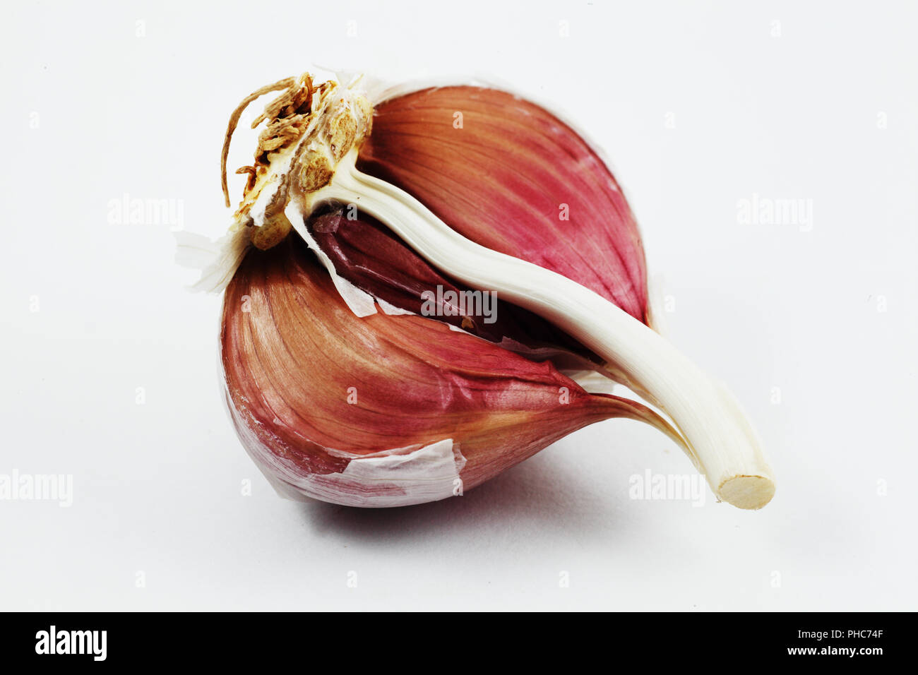 Libre de gousse d'ail Banque D'Images