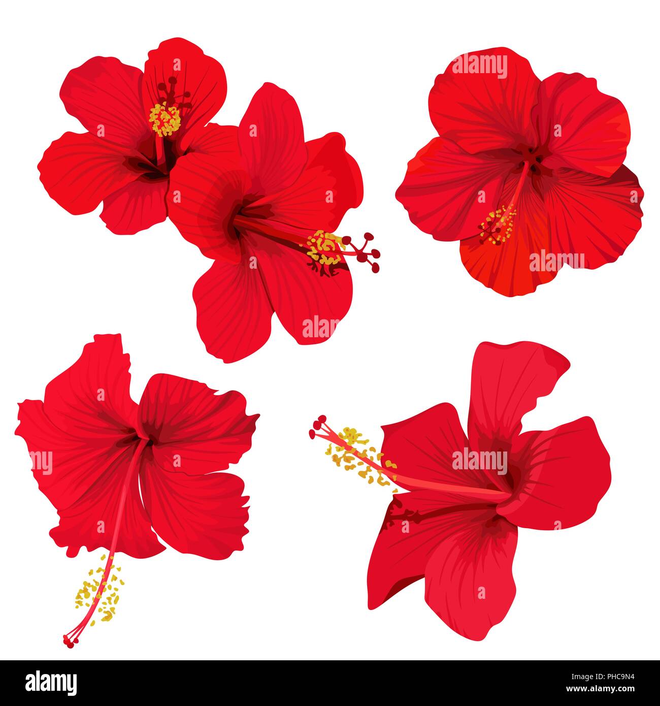 Fleur d'hibiscus vector clip art fleurs rouge jeu planrs tropical Illustration de Vecteur