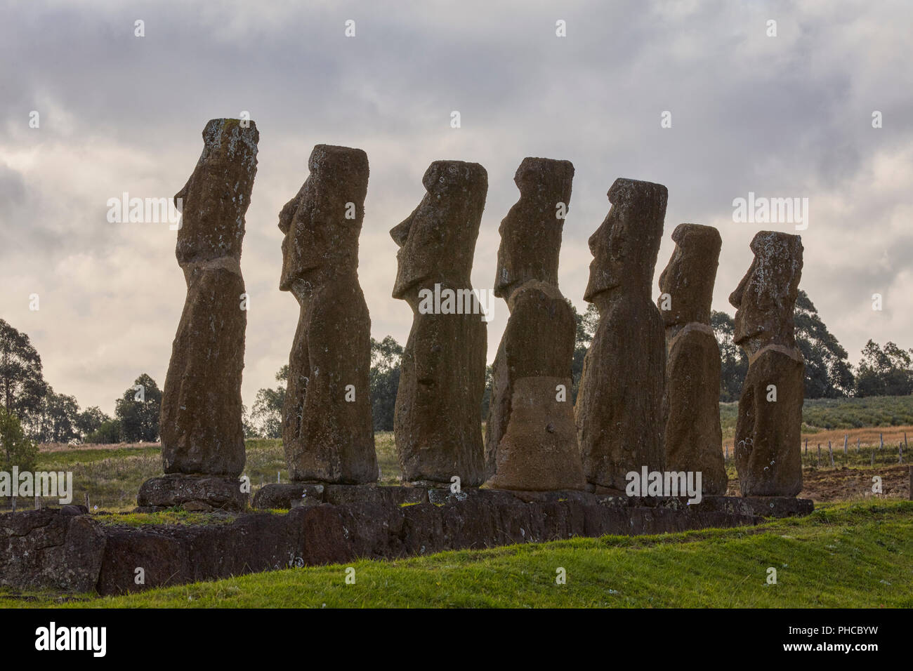 Ahu Akivi Moai têtes de pierre de l'arrière de l'île de Pâques Rapa Nui Isla de Pascua Chili Banque D'Images