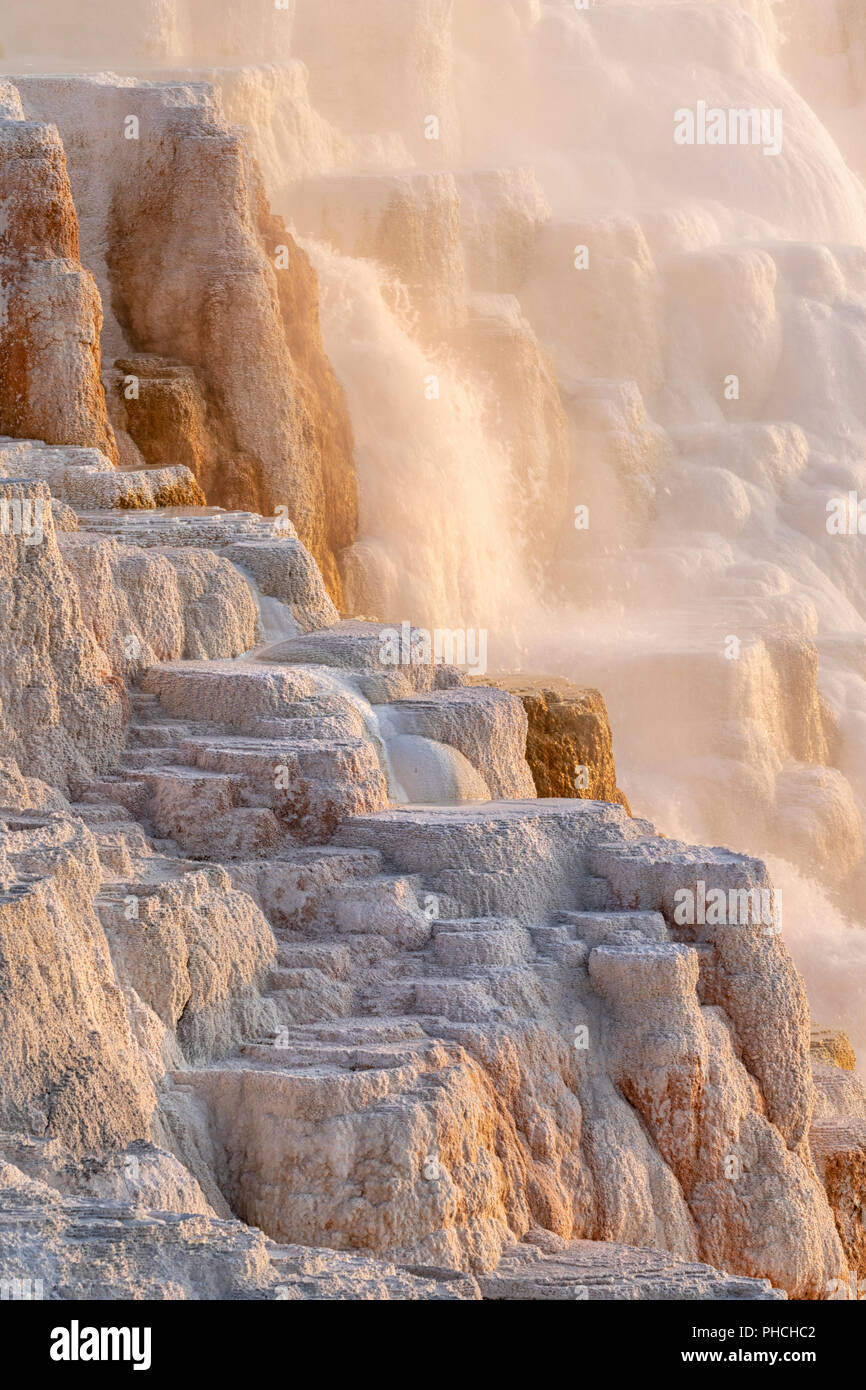 Mammoth Hot Springs au lever du soleil, le Parc National de Yellowstone, Wyoming, USA Banque D'Images