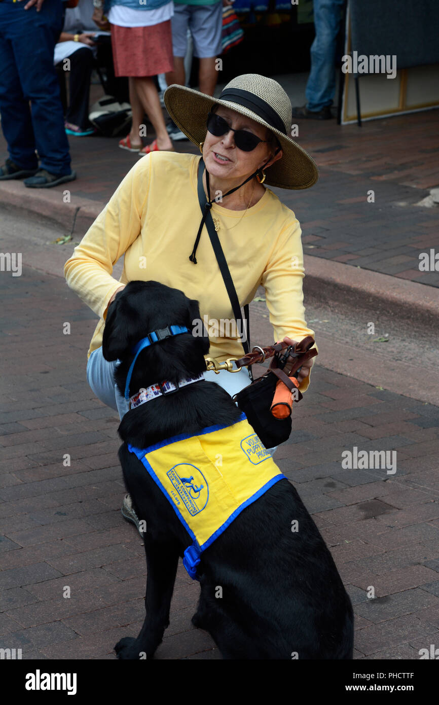 Un volontaire pour chiot Canine Companions for Independence promenades son chien à Santa Fe, Nouveau Mexique. Banque D'Images