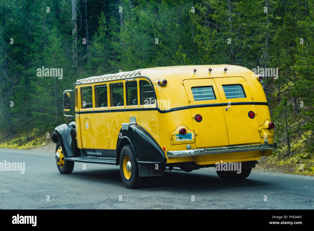 Le fameux bus jaune dans le Parc National de Yellowstone sur la route avec forêt en arrière-plan Banque D'Images