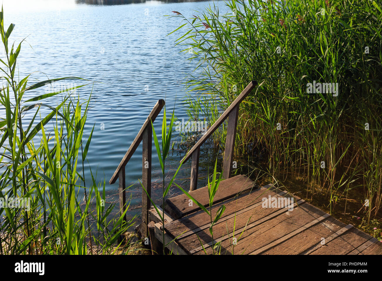 Été lac plage calme avec du bois des pentes à l'eau Banque D'Images