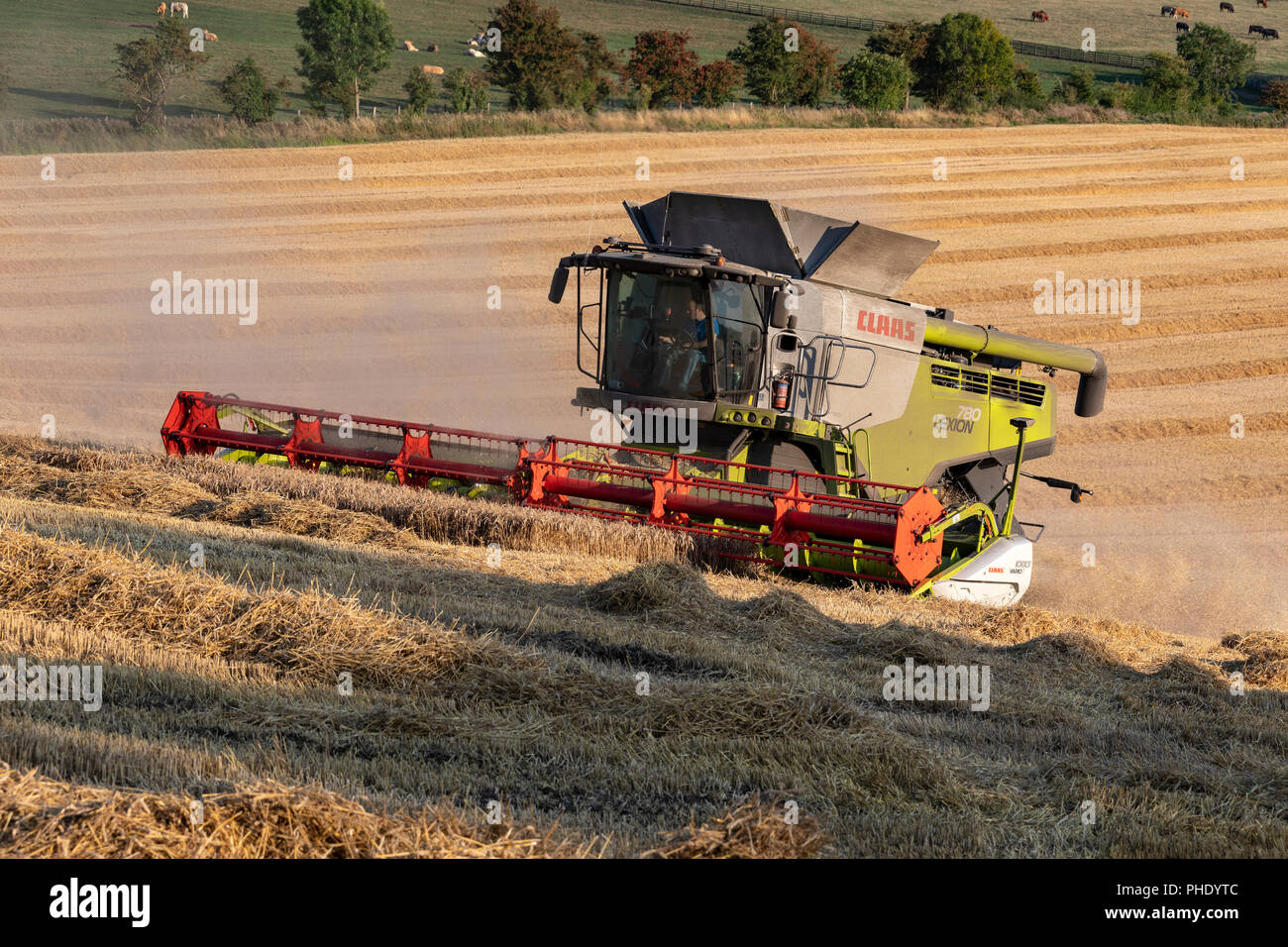 Moissonneuse-batteuse, découpage d'un champ de blé sur les terres agricoles dans la campagne du nord du Yorkshire, Angleterre. Banque D'Images