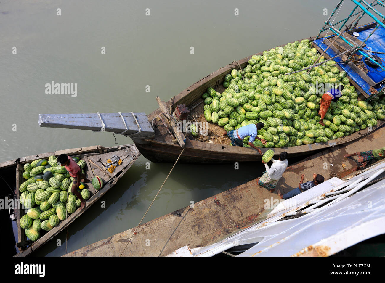 Transport de pastèque en bateau par la rivière Tetulia district à Milan, au Bangladesh Banque D'Images