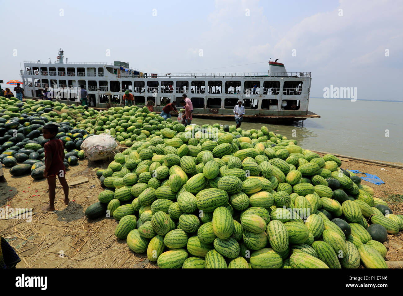 Une énorme quantité de pastèque fraîchement récoltés est présenté pour le transport sur la banque du fleuve Tetulia à Rangabali sous l'upazila de Patuakhali distric Banque D'Images