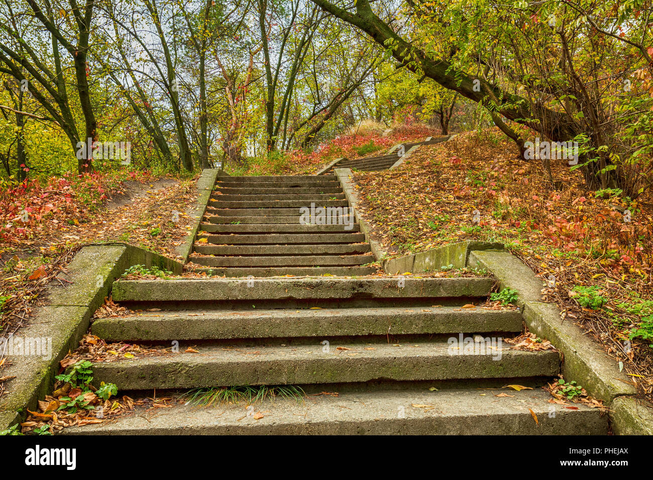 Marches de pierre à l'automne parc de la ville. L'automne marque ville Banque D'Images