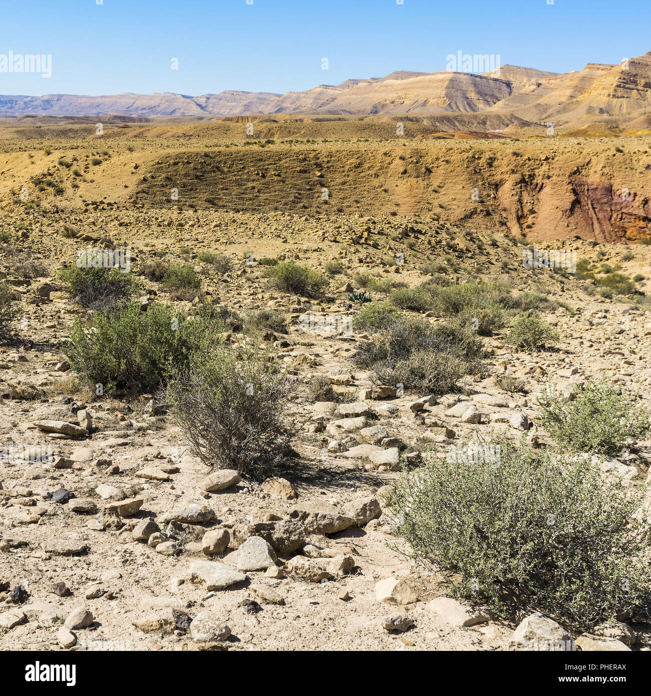 Paysage à couper le souffle du désert Banque D'Images