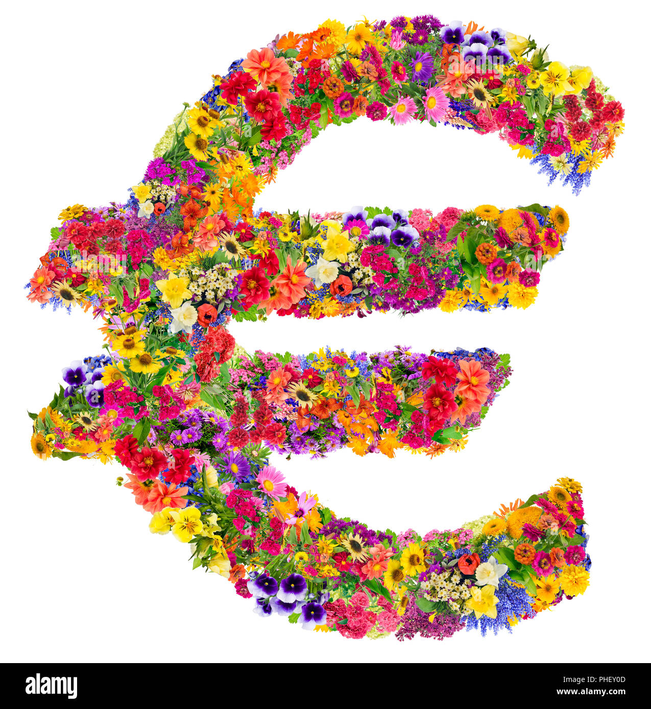 Symbole de l'euro à partir de fleurs d'été Banque D'Images