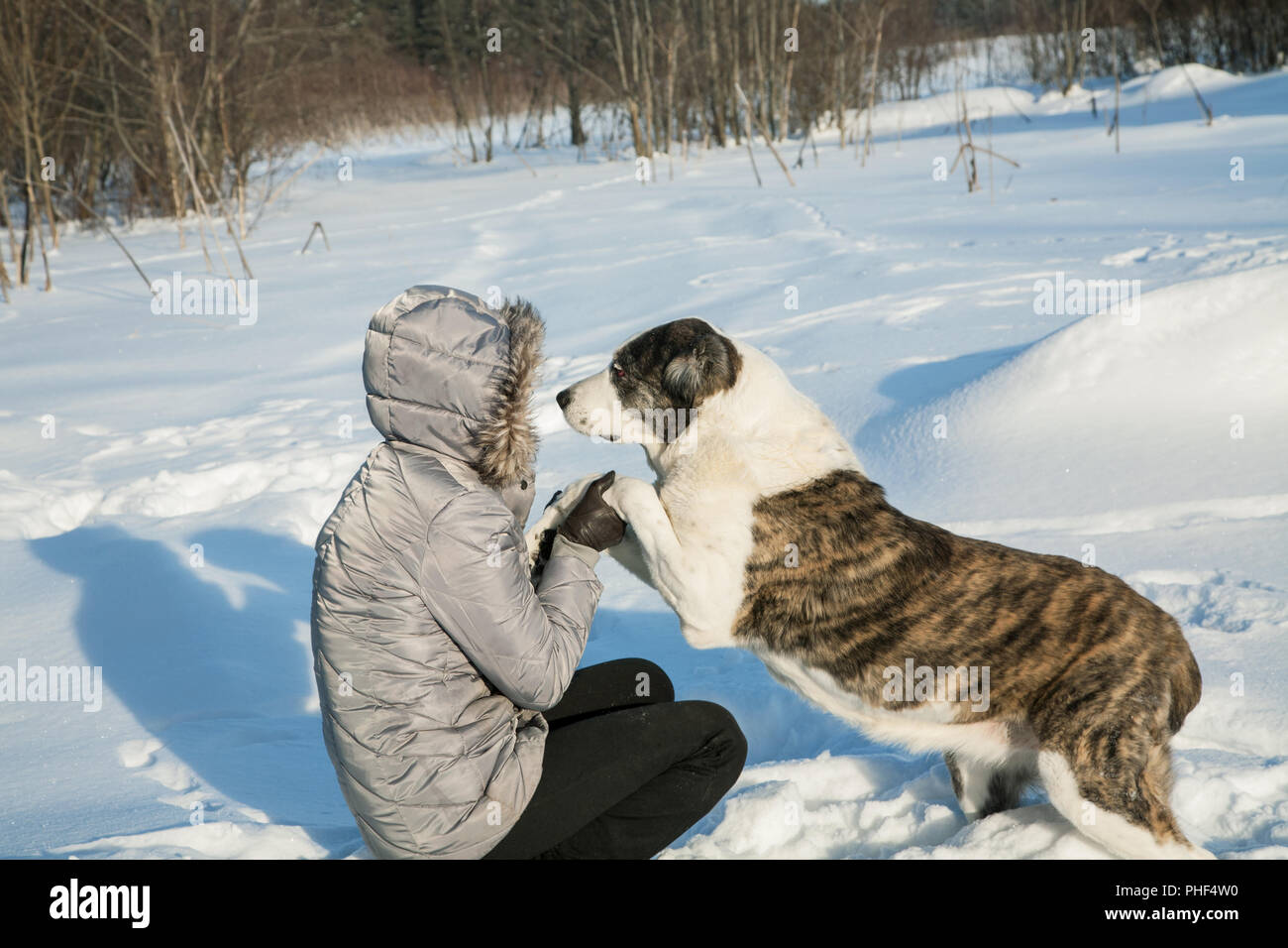 Femme joue avec un chien dans l'après-midi d'hiver Banque D'Images