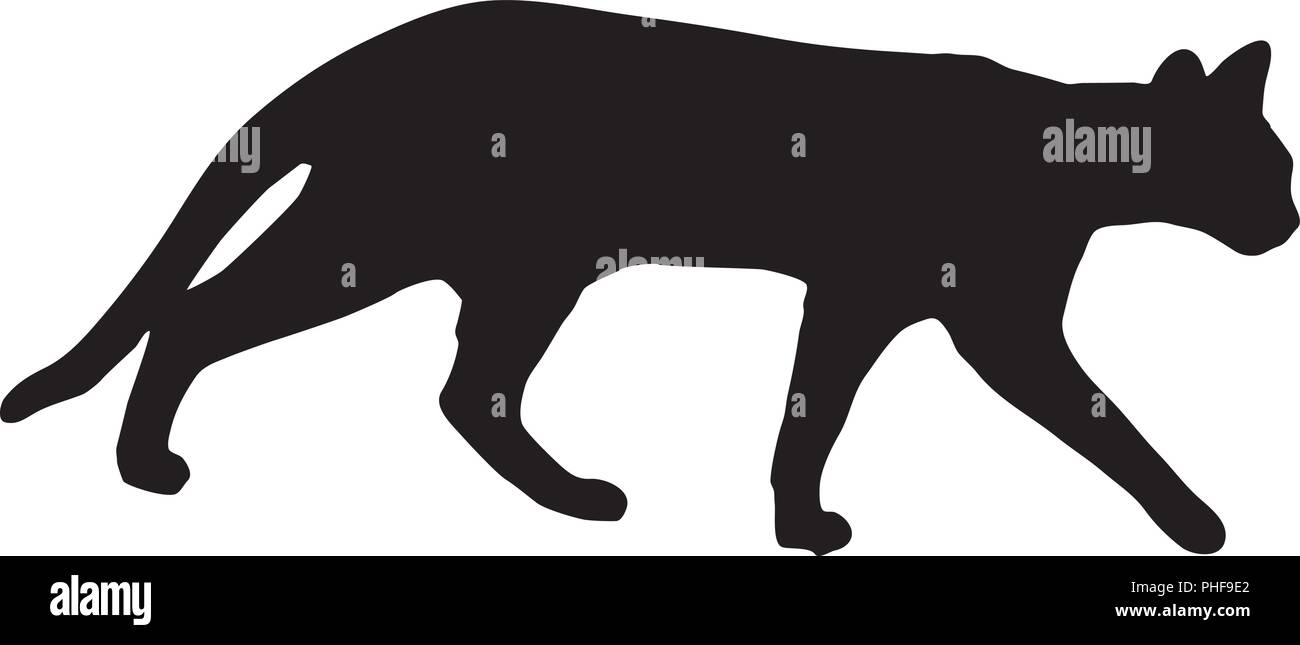 Silhouette noire d'un chat marche Illustration de Vecteur